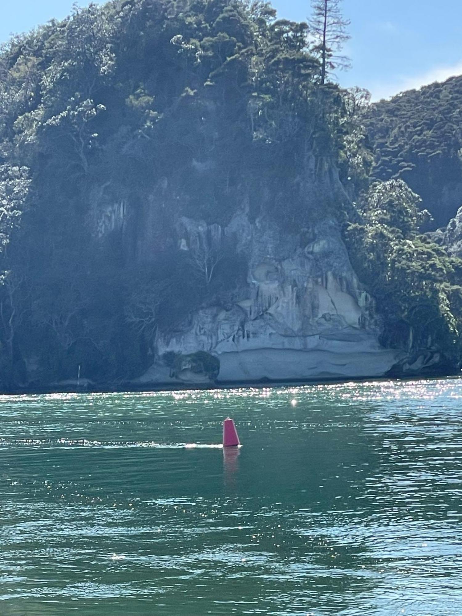 Make Memories At Cook Drive Villa Whitianga Buitenkant foto